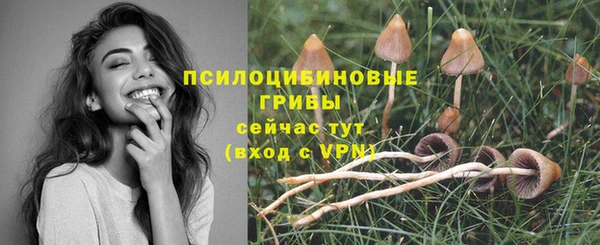 прущая мука Горно-Алтайск