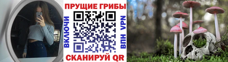 купить сайты Заринск Галлюциногенные грибы ЛСД
